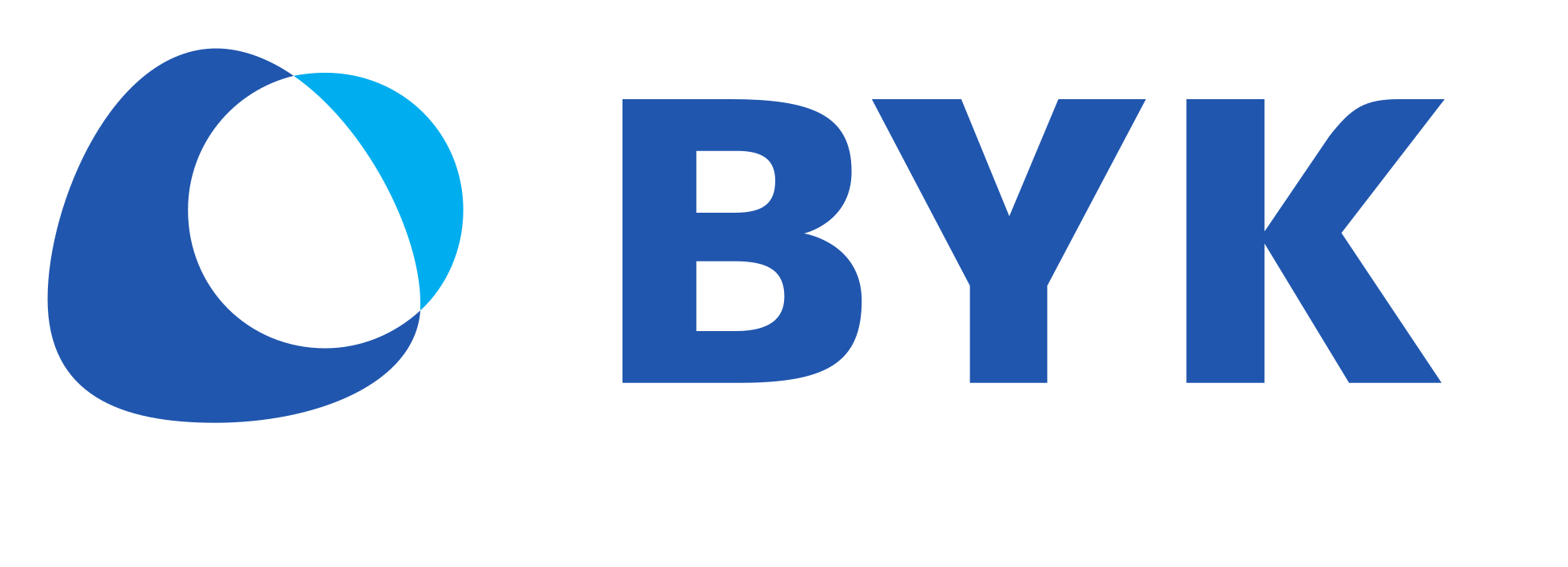 BYK Logo